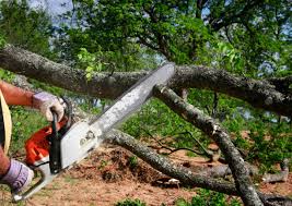 Best Grass Overseeding  in Roanoke, VA