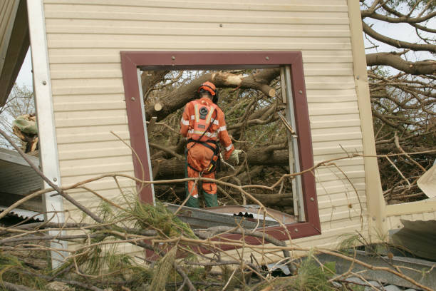 Best Tree and Shrub Care  in Roanoke, VA