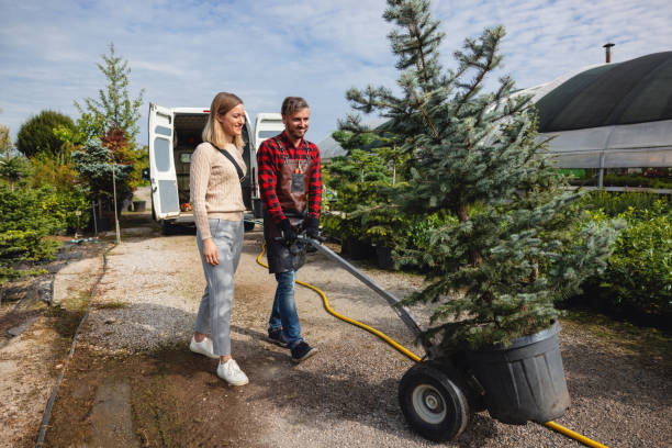 Best Organic Lawn Care Solutions  in Roanoke, VA